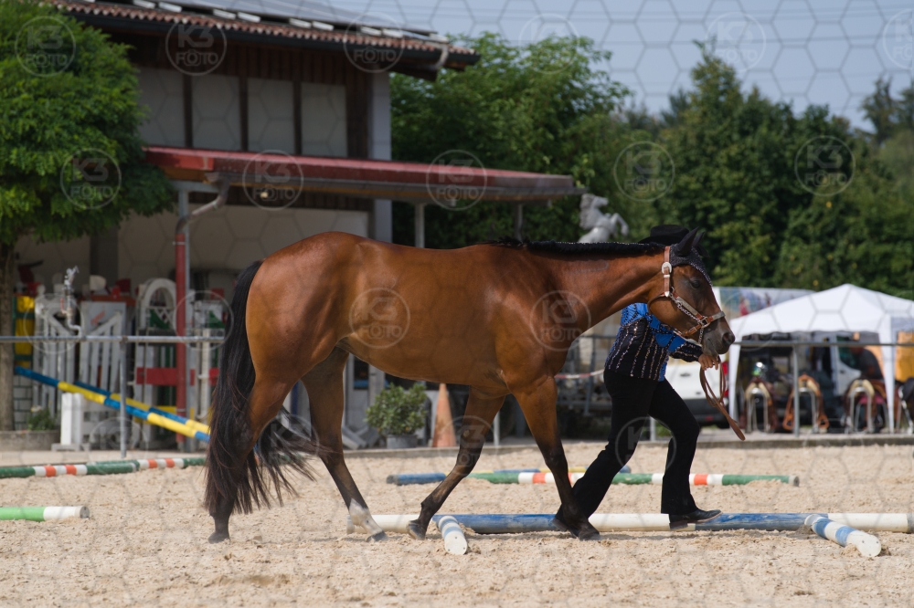 s_batch_A9_00085.jpg